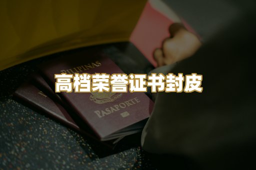 机动车驾驶证排版